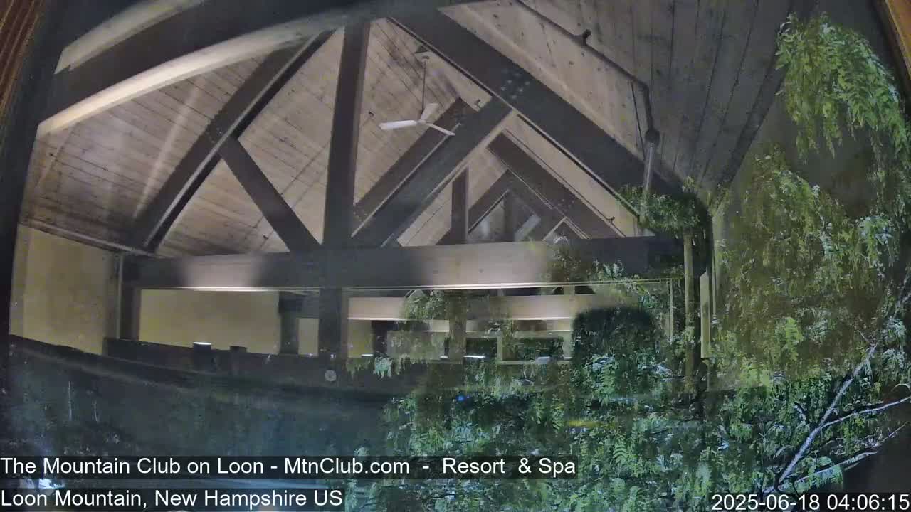 A nighttime view through a window shows a building's interior with a wooden ceiling and exposed beams, partially obscured by rain-soaked vegetation outside.