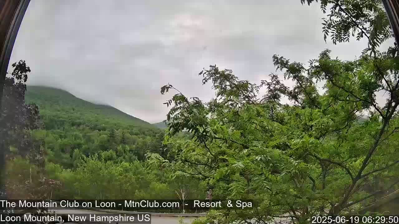 A view through a window shows a lush, green mountainside partially shrouded in fog under an overcast sky.