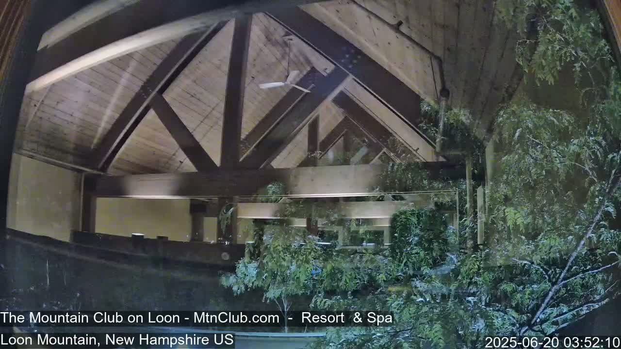 A view through a window shows a building's interior with a wood-beamed ceiling and a ceiling fan, partially obscured by snow-dusted evergreen trees outside.