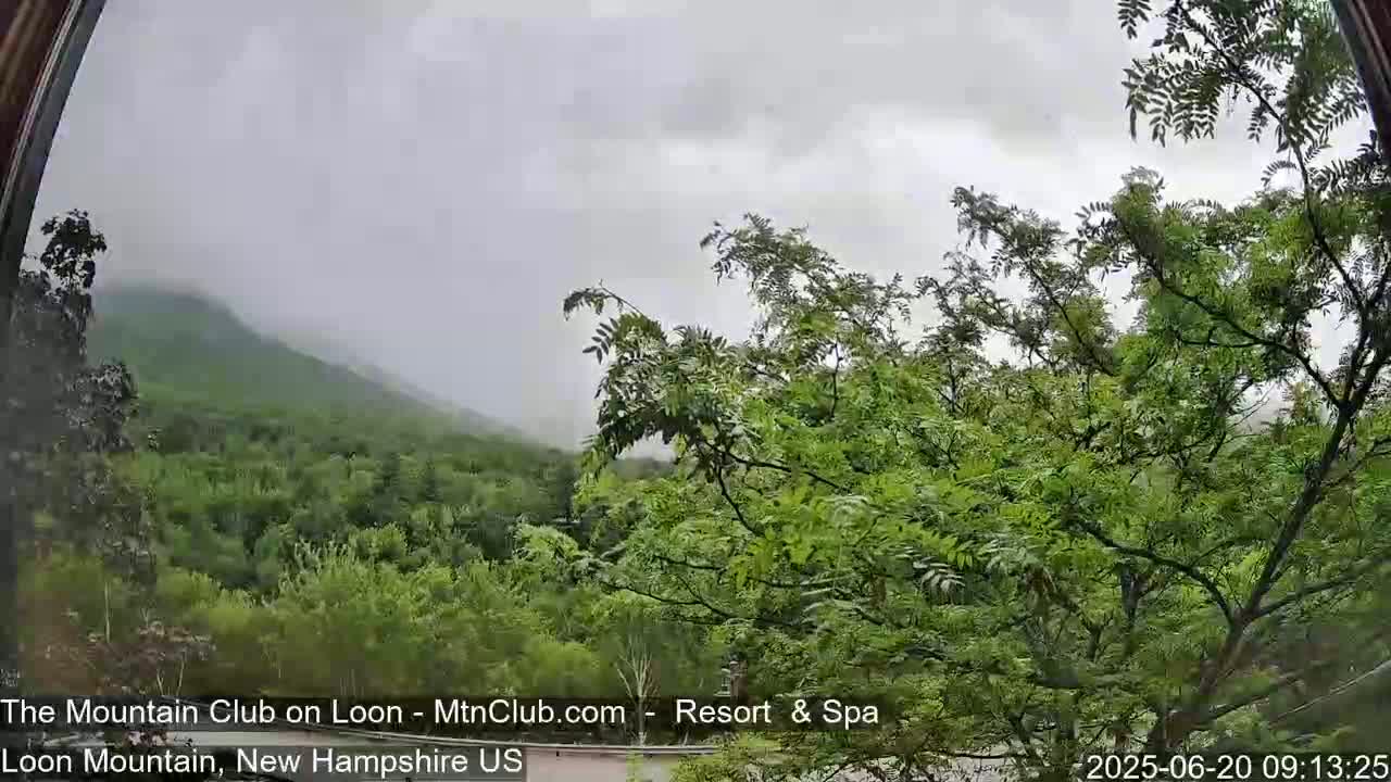 A view through a window shows a misty, overcast day with lush green foliage and a mountain shrouded in fog in the background.