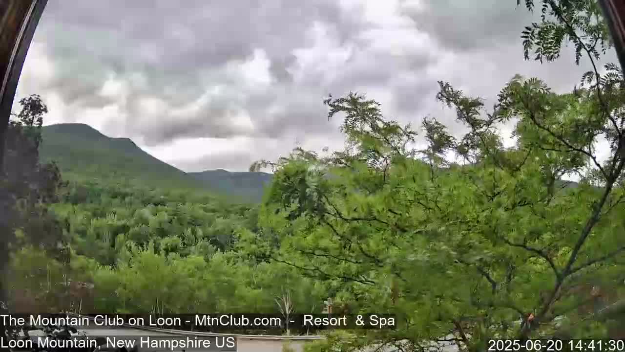A view through a window shows green, leafy trees and mountains under a cloudy sky.