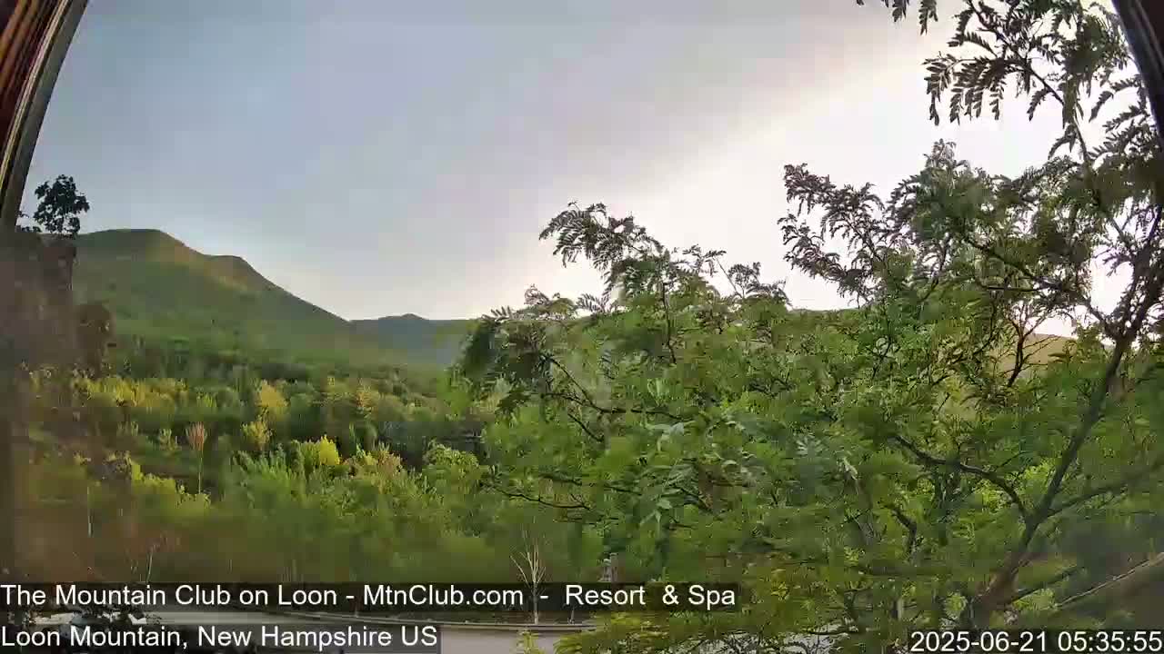 A view through a window shows a hazy sky over lush green foliage and distant mountains.