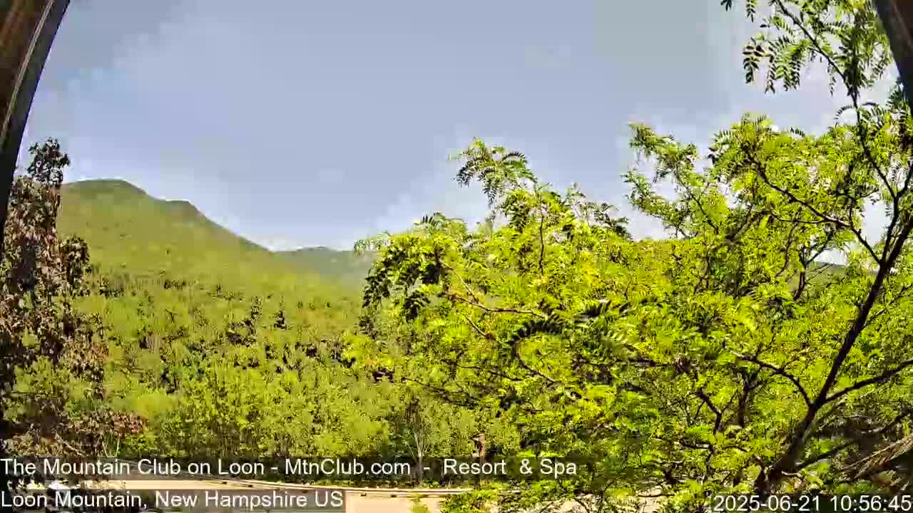 A view of a lush green mountain range under a clear blue sky, partially obscured by leafy trees in the foreground.