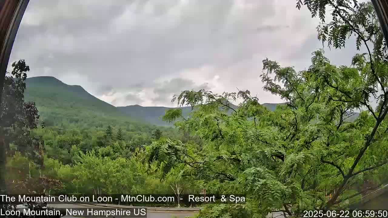 A view through a window shows a lush green landscape of trees and mountains under an overcast sky.