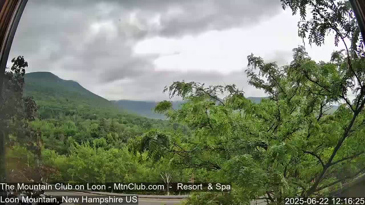 A view of lush green mountains and trees under an overcast sky.