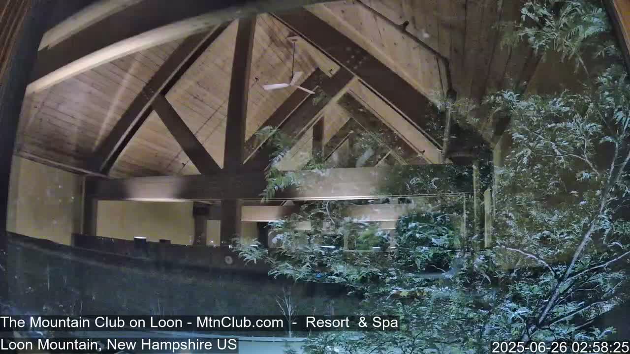 A view through a window shows a snow-covered evergreen tree and the interior of a building with a high, wood-beamed ceiling and a ceiling fan.