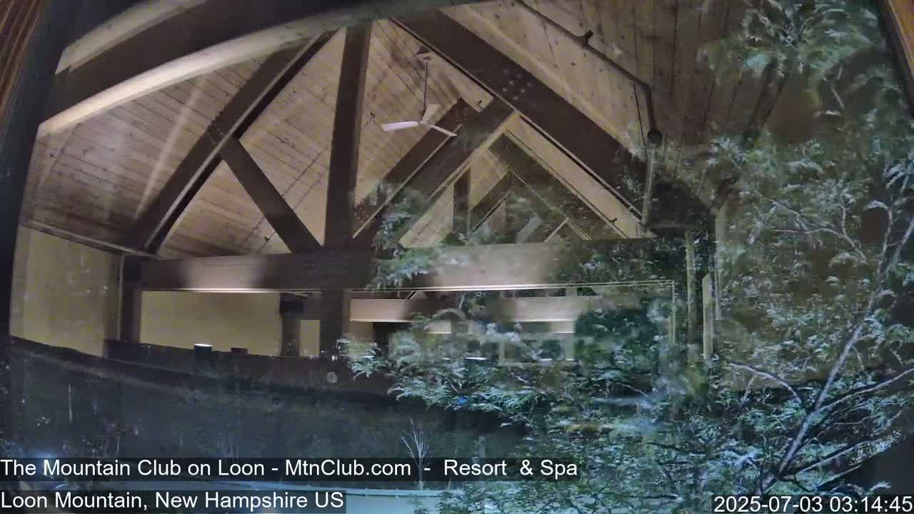 A view through a window shows a snow-covered wooded area outside and an interior with a high, exposed wooden ceiling and a ceiling fan inside.