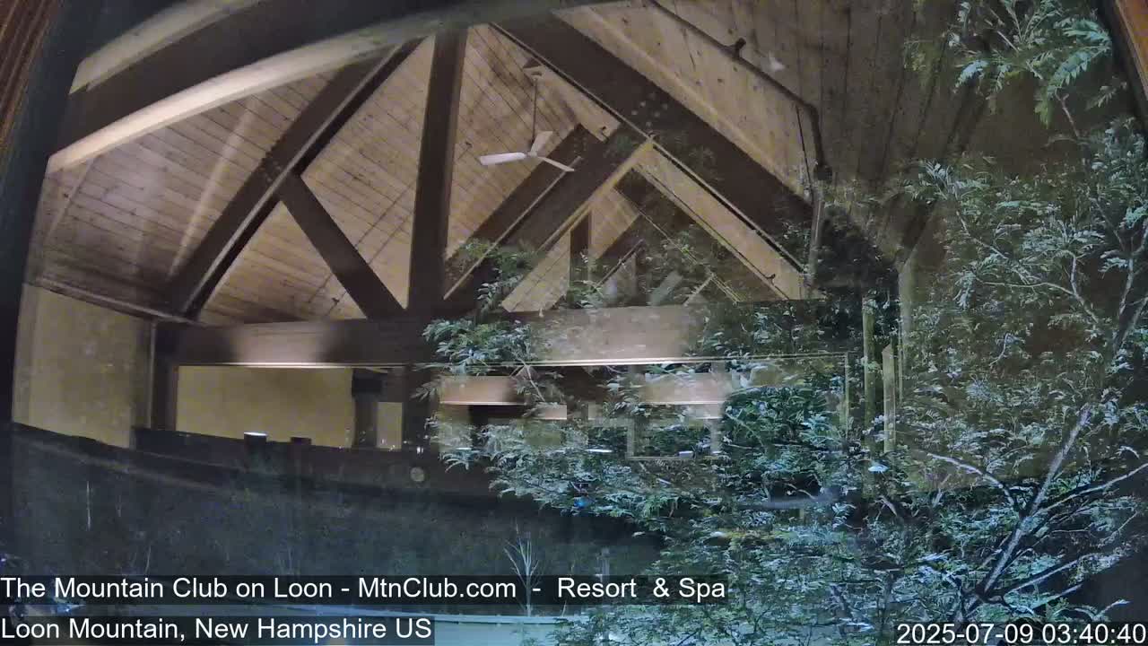 A view through a window shows a building's interior with a wooden A-frame ceiling and a ceiling fan, partially obscured by snow-covered branches outside.