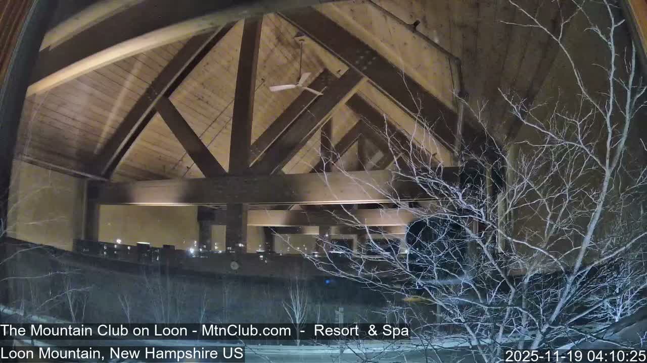Through a window at night, a rustic wooden ceiling with exposed beams and a fan is visible indoors and reflected on the glass, while outside, bare tree branches are lightly coated in snow or frost against a dark winter landscape.