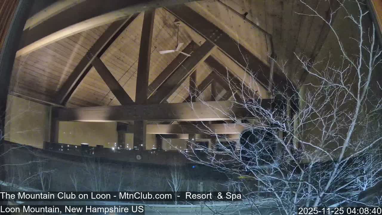 A view from inside a building reveals a vaulted wooden ceiling with exposed beams and a ceiling fan, looking out through a window to a prominent bare, snow-dusted tree and a snowy landscape with distant lights under dark, early morning conditions.
