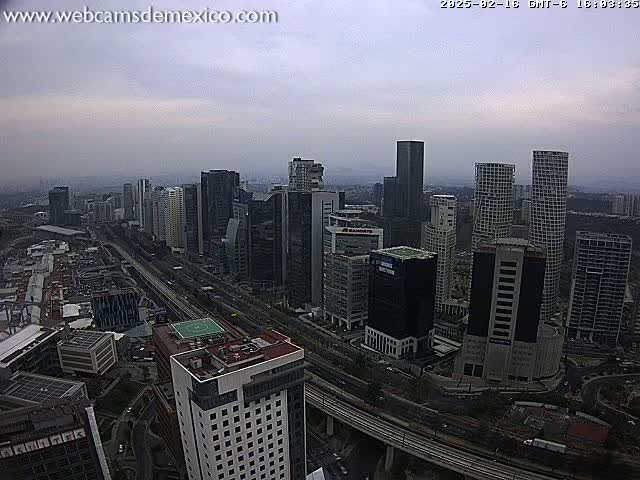 A hazy cityscape of numerous high-rise buildings and roadways stretches out under an overcast sky.