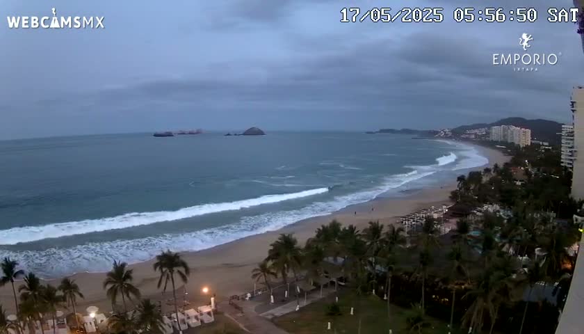 An overcast sky over a beach with gentle waves lapping the shore, palm trees lining the sand, and buildings visible in the distance.