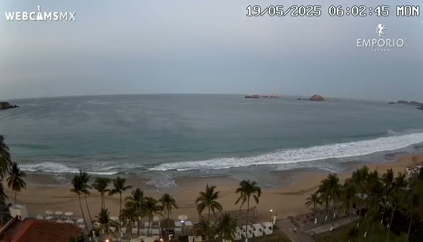 A sandy beach with palm trees and calm ocean waves under an overcast sky is seen from an elevated vantage point.