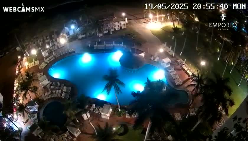An illuminated, irregularly shaped swimming pool is surrounded by palm trees and lounge chairs at night.