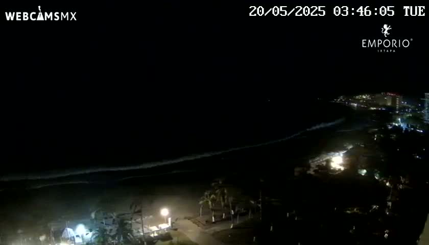 A nighttime view of a dark ocean beach with dimly lit buildings and palm trees in the foreground, under a clear, dark sky.