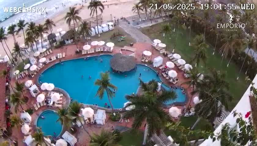 An aerial view shows a resort pool area with multiple palm trees, lounge chairs under umbrellas, and a beach visible in the background under a partly cloudy sky.