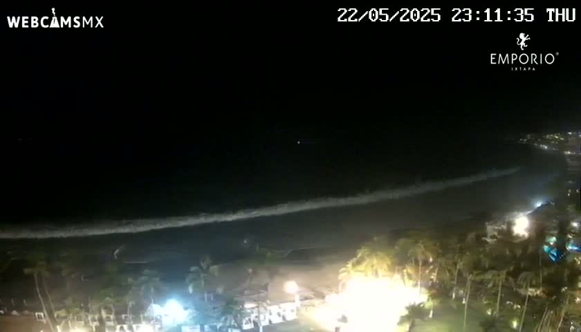 A nighttime view of a beach with gently rolling waves under a clear, dark sky, showing palm trees and lights illuminating a resort area in the foreground.