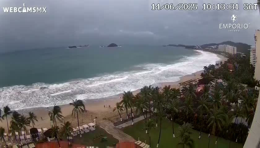 An overcast day shows a beach with moderate waves, palm trees, and buildings under a gray sky.