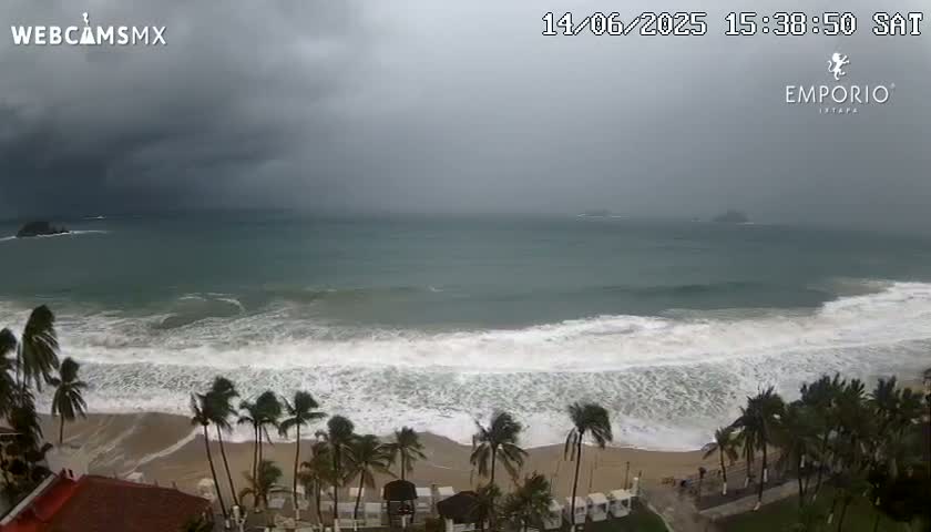 An overcast day shows a beach with moderate waves, palm trees, and buildings under a gray sky.