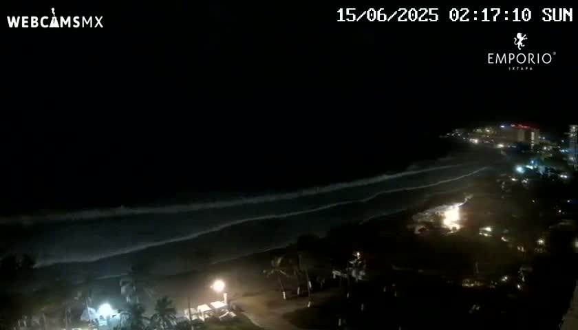 A nighttime view of a dark ocean with waves gently rolling toward a dimly lit shoreline featuring buildings and palm trees.