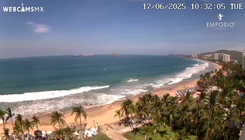 A sandy beach with palm trees and ocean waves under a clear blue sky is viewed from above.