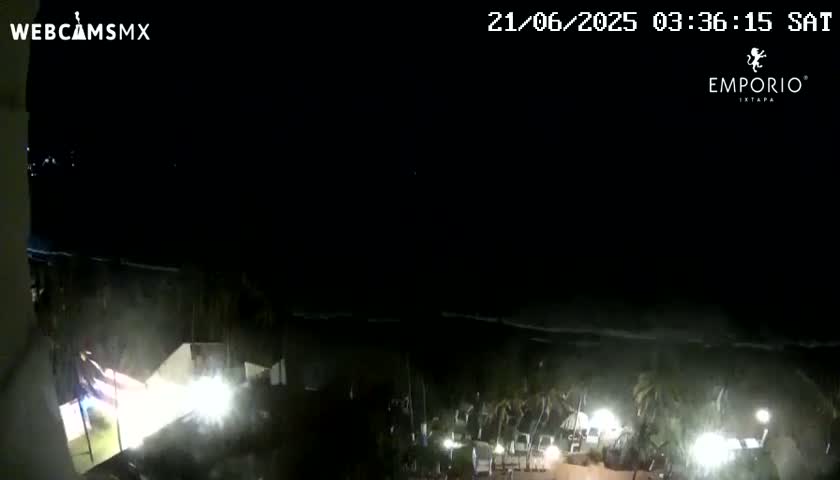 A nighttime, high-angle view shows a dark ocean with small waves under a clear, black sky, overlooking a dimly lit beachfront area with palm trees and lights.
