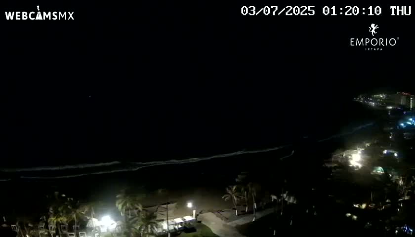 A nighttime, high-angle view shows a dark beach with gently lapping waves under a clear, dark sky, with sparsely lit palm trees and buildings visible along the shore.