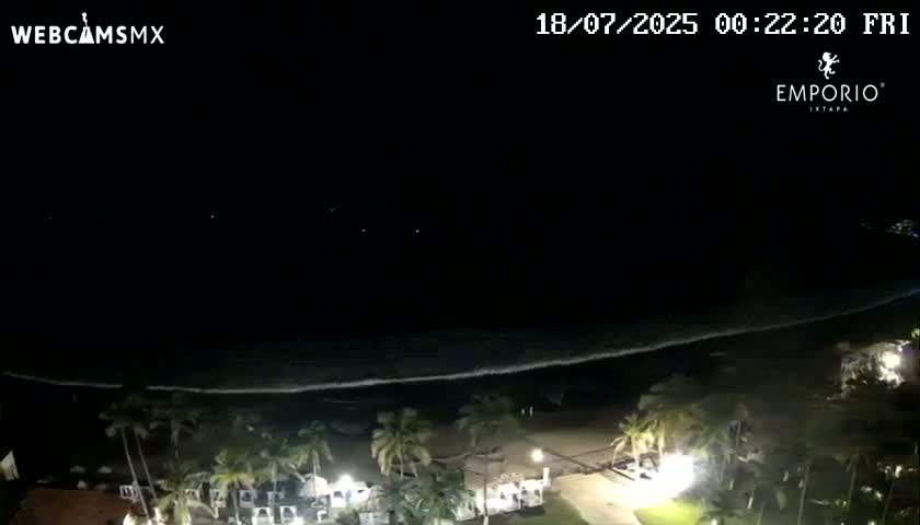 A nighttime beach scene shows dark ocean waves lapping the shore, illuminated by faint lights from buildings and palm trees lining the beach.