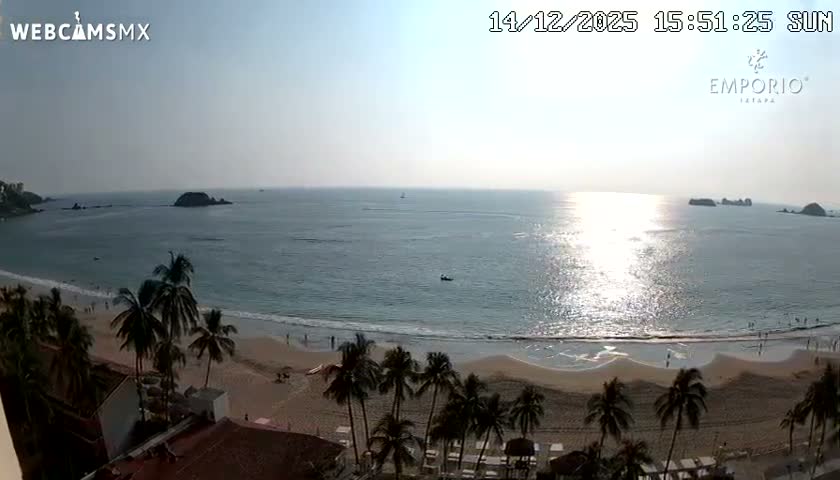 An aerial view captures a dimly lit resort scene at night, showcasing a dark blue swimming pool, palm trees, and various brightly illuminated outdoor dining and lounge areas stretching towards the dark ocean, under clear weather.
