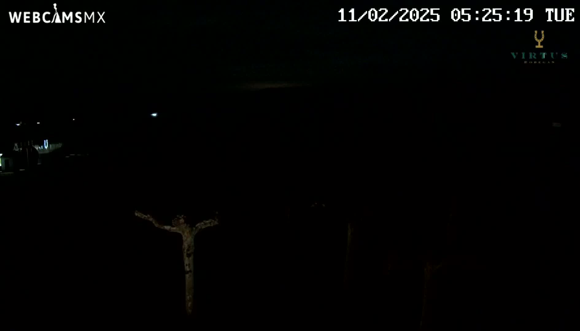 A nighttime, dark view shows a few bare, silhouetted trees under a mostly clear sky.