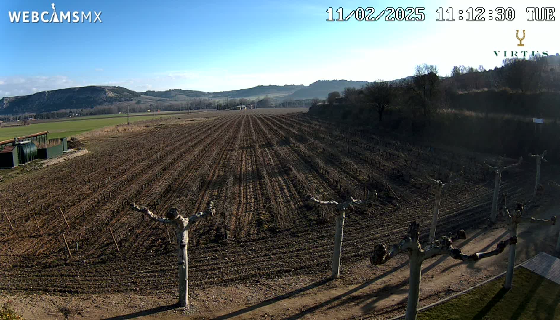A large, plowed field with young, bare trees planted in rows stretches towards distant hills under a clear, sunny sky.