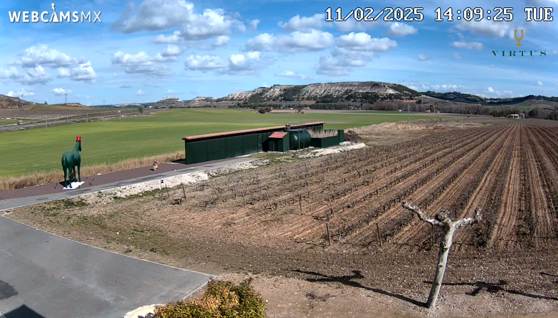 A green horse statue wearing a red hat stands in a paved area overlooking a vineyard under a partly cloudy blue sky.
