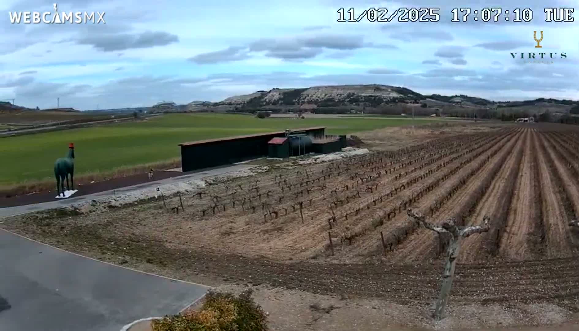 A green statue of a horse stands in a vineyard under a partly cloudy sky, with a building and distant hills visible in the background.