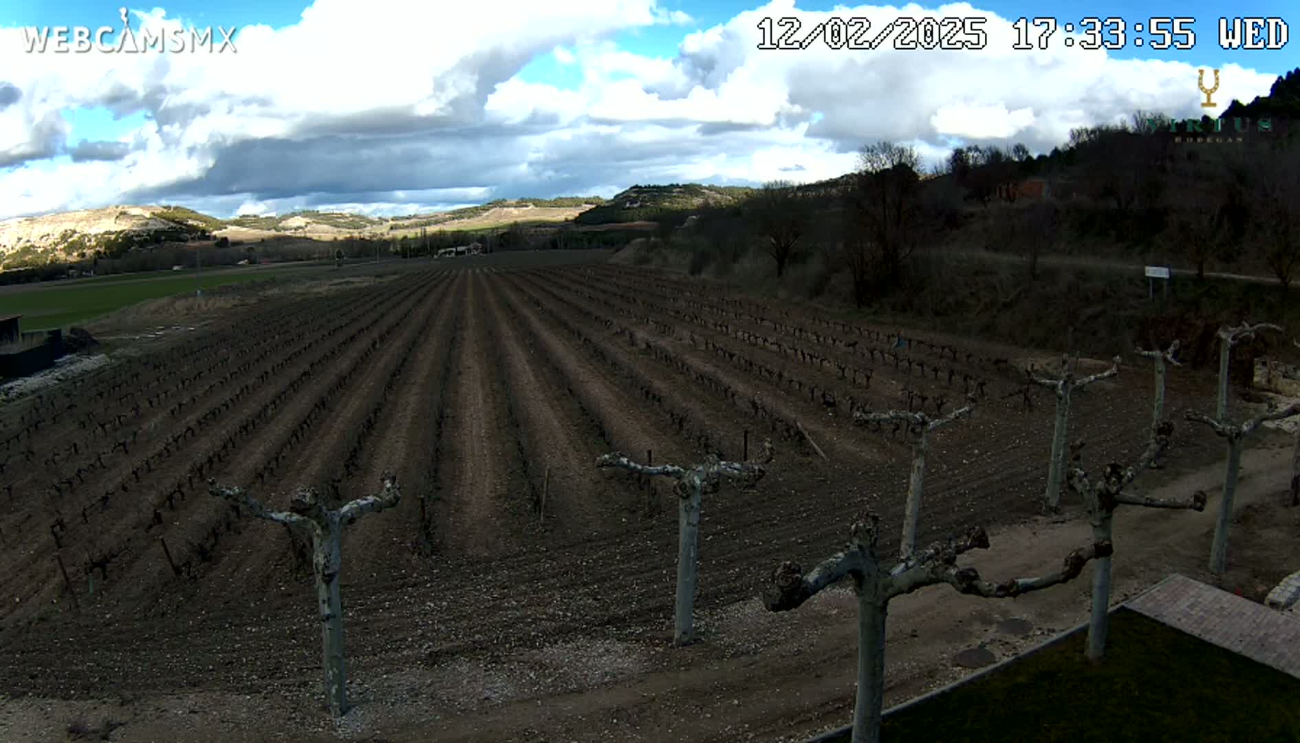 (Virtus Wineries)  Bodegas Virtus ,Ribera del Duero Live Cam - Valladolid, Castilla & Leon, Spain