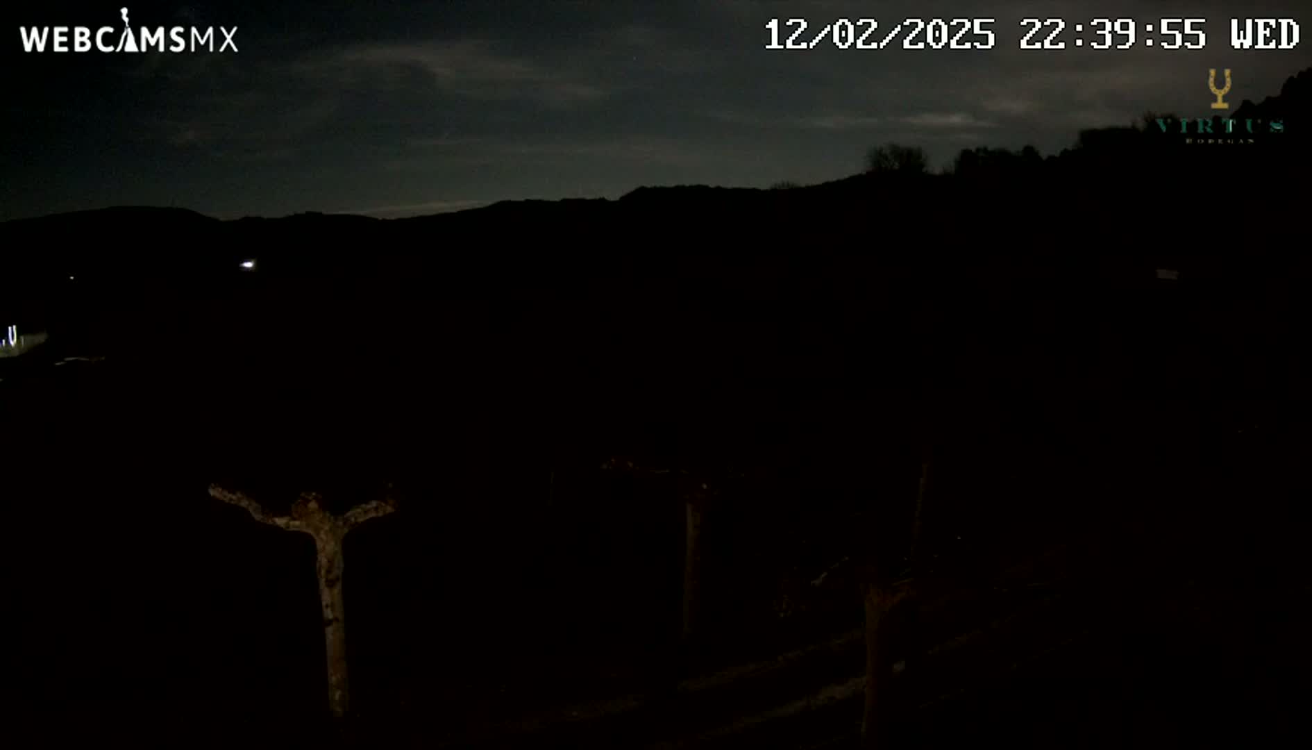 A nighttime, low-light view of a dark landscape with a few silhouetted trees under a mostly clear sky.