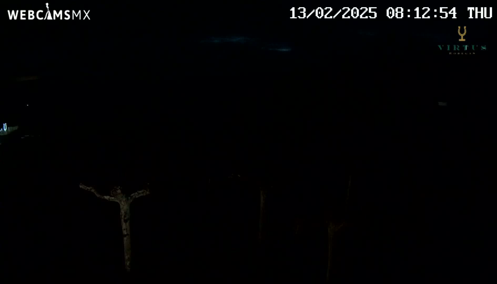 A nighttime, dark outdoor scene shows a few sparsely-leafed trees under a mostly clear sky.
