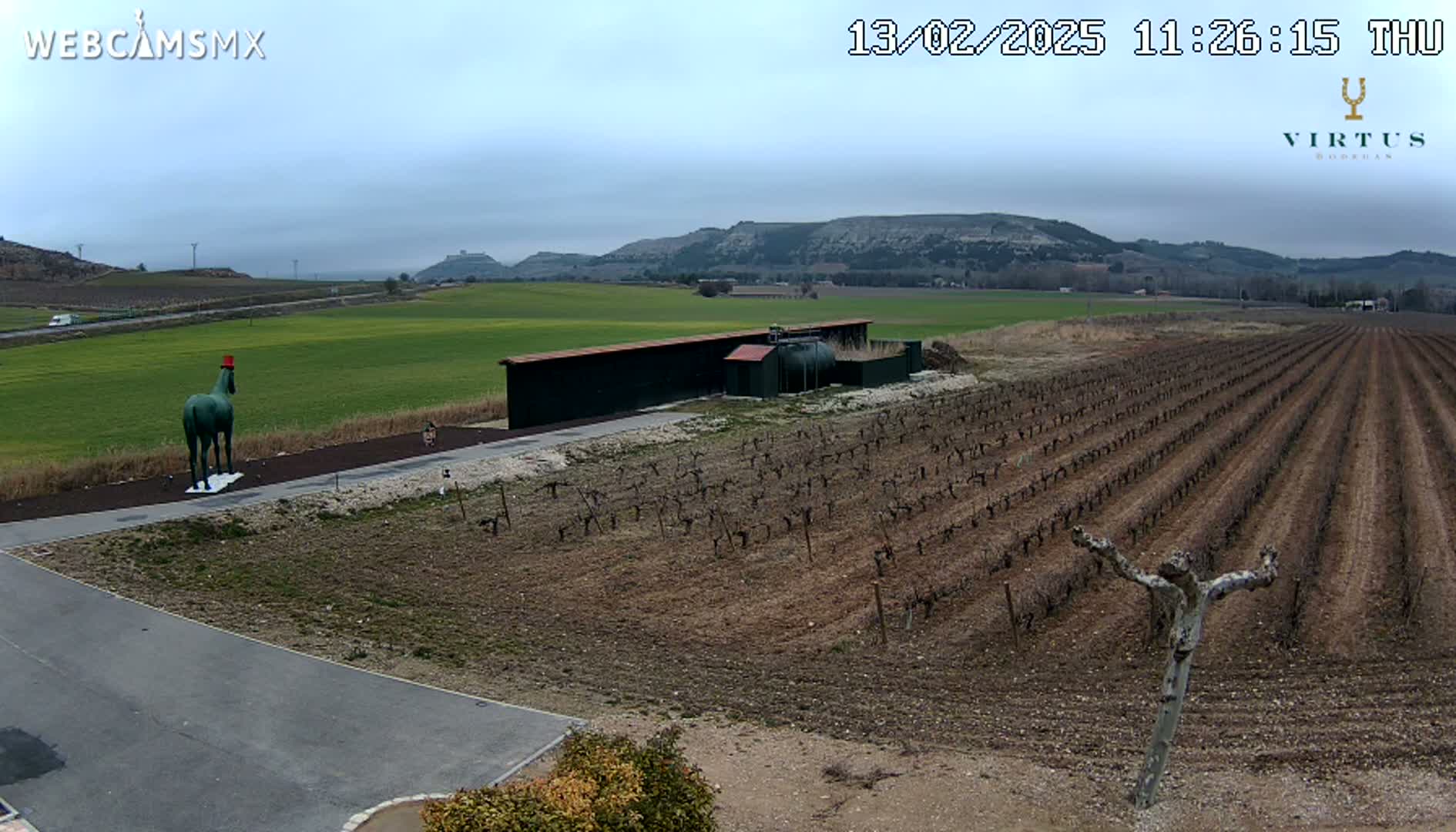 A green horse statue wearing a red hat stands near a vineyard under a cloudy sky.
