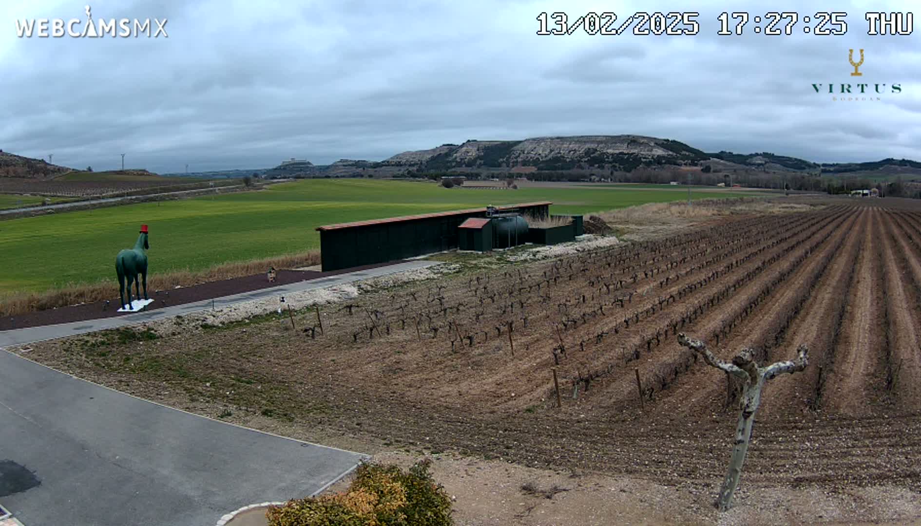 A green horse statue wearing a red hat stands in front of a long, dark building next to a vineyard under a cloudy sky.