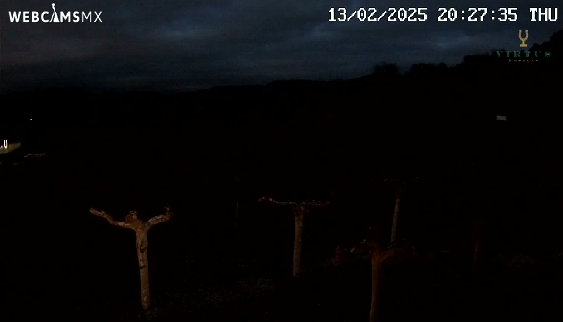 Under a dark, cloudy night sky, several bare, silhouetted trees stand in a mostly dark field.