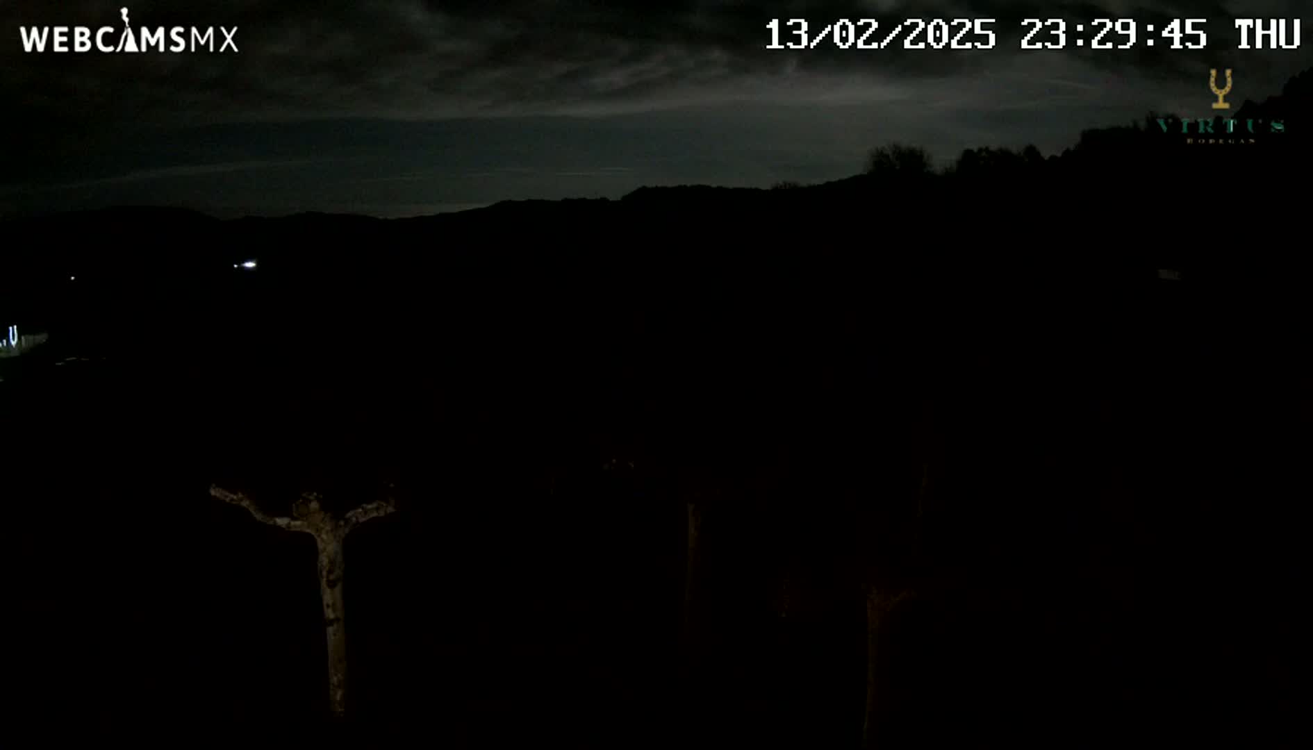 A nighttime, dark scene shows a mostly silhouetted tree and distant hills under a cloudy sky.