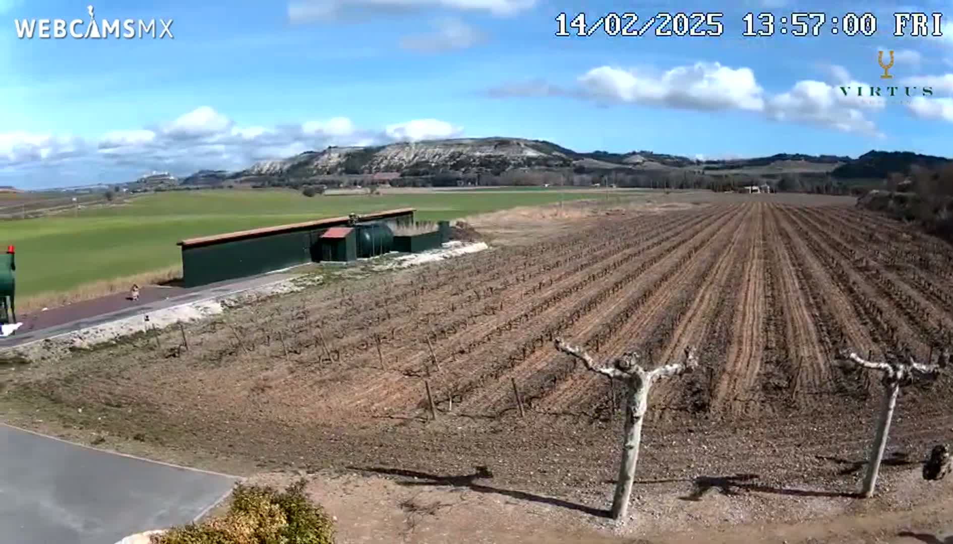 A mostly sunny day reveals a vineyard with bare vines, a long building, and distant hills under a partly cloudy sky.