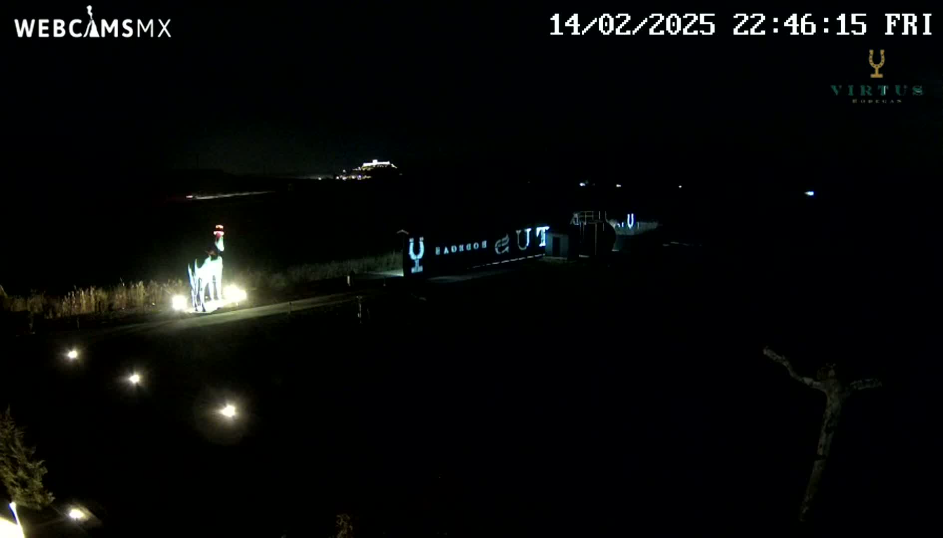 At night, a brightly lit statue of a dog stands in a dark parking lot near a building with lights on, under a clear, dark sky.