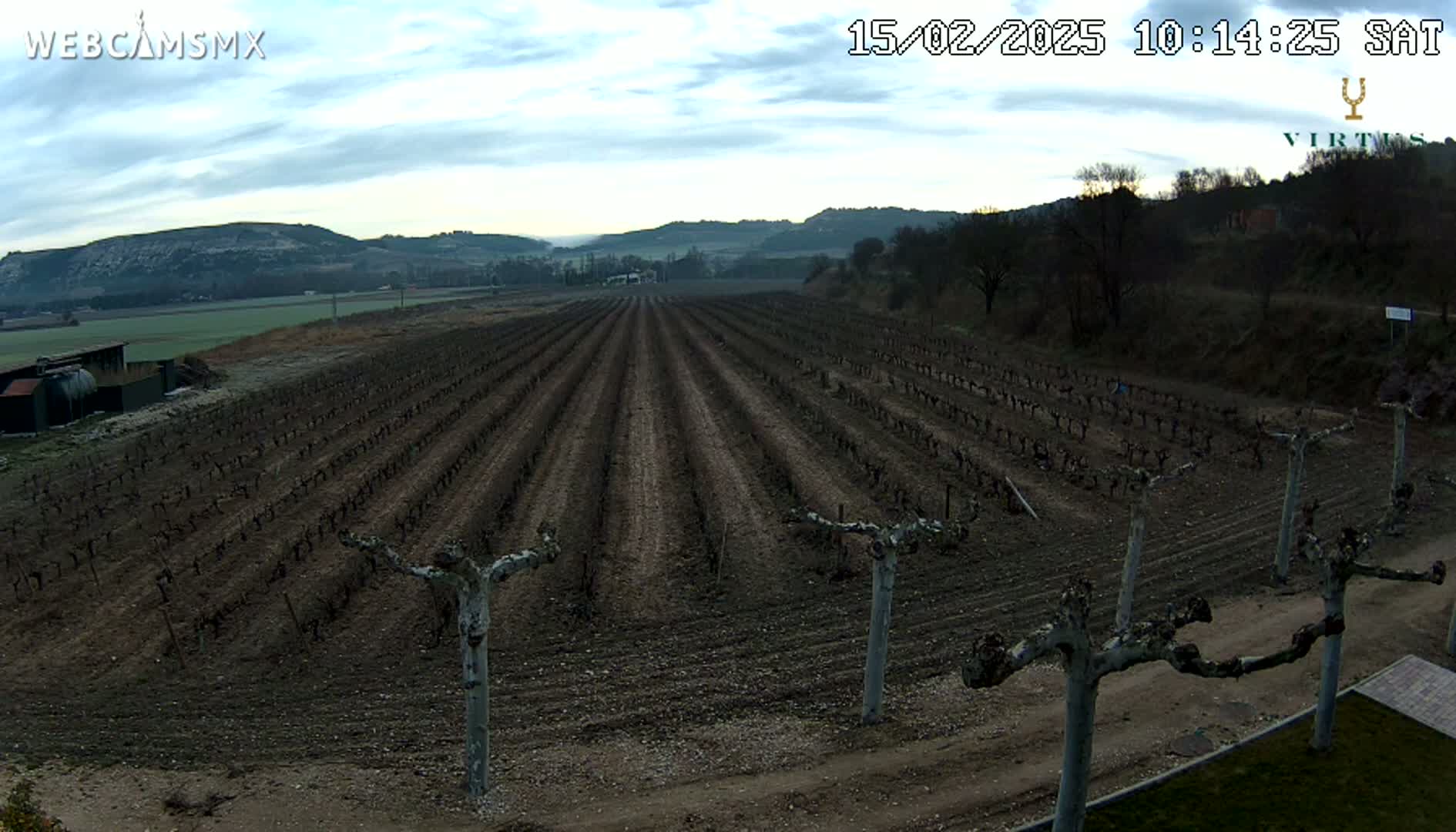 A vineyard with bare vines stretches across a flat expanse of brown earth under a mostly cloudy sky.