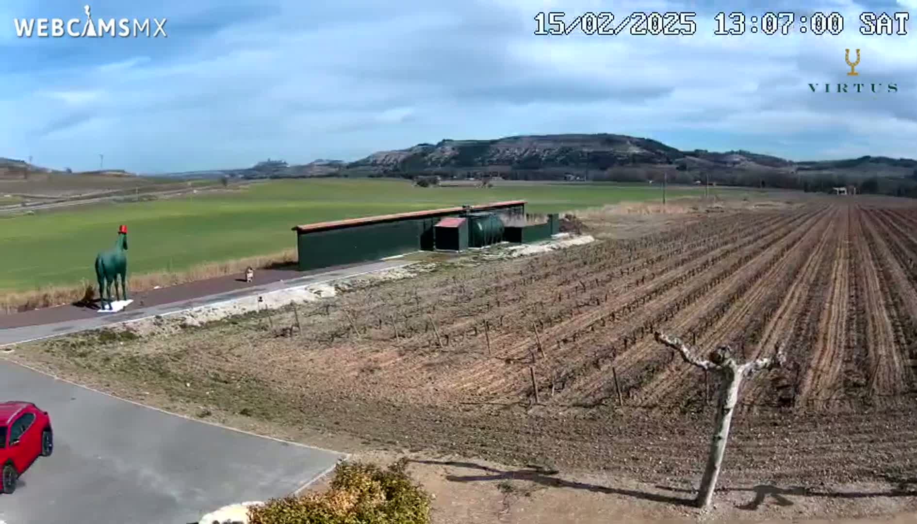 A green horse statue stands near a dark green building in a vineyard under a mostly sunny sky.