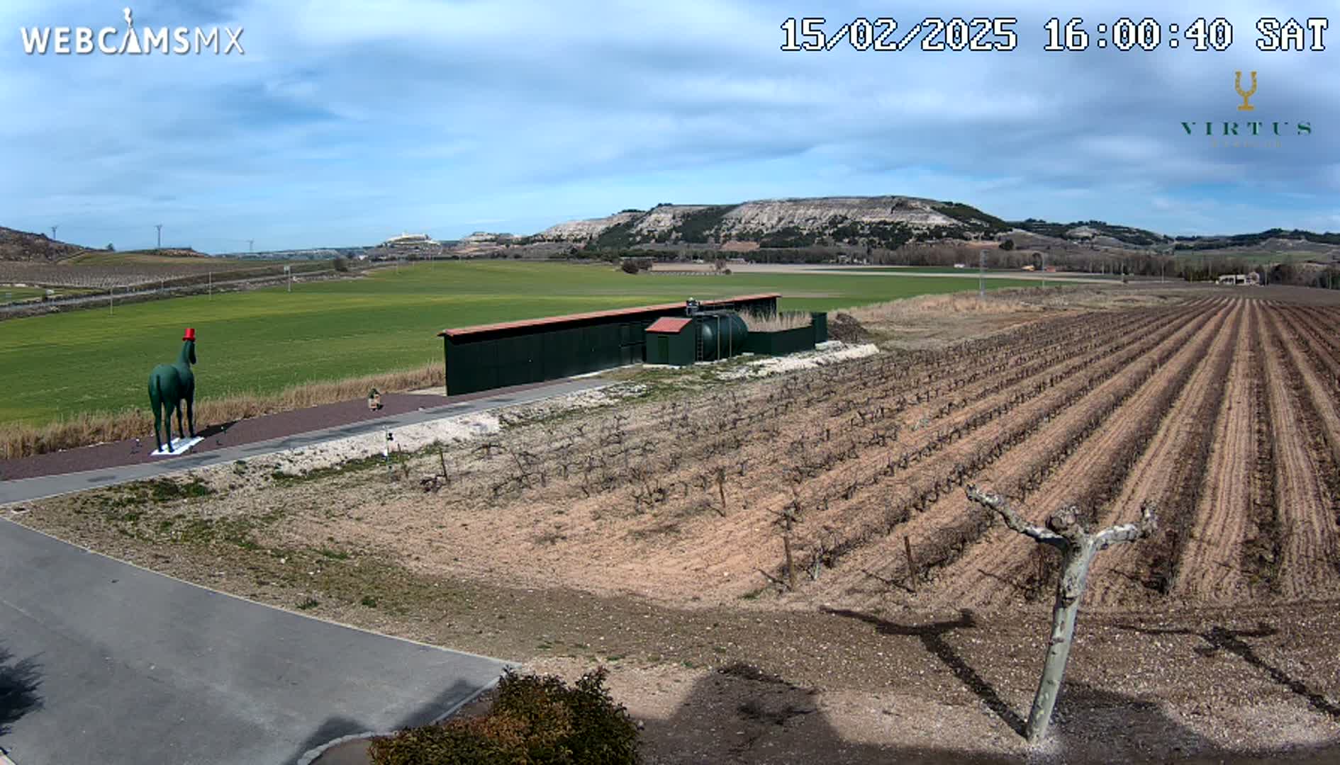A green horse statue wearing a red hat stands in a paved area next to a vineyard under a partly cloudy sky.
