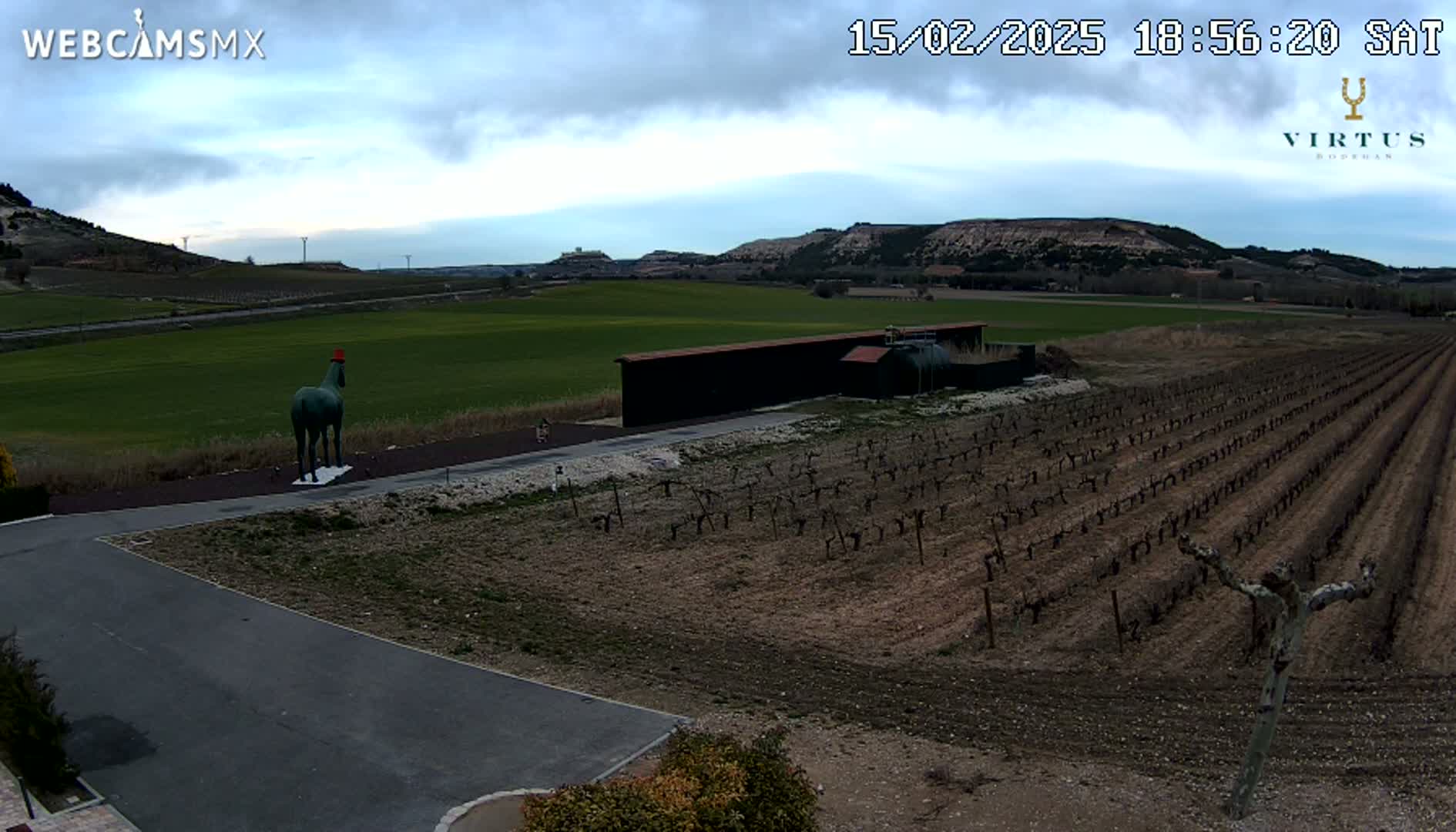 A green horse statue stands in a vineyard under a cloudy sky, near a long building and distant hills.