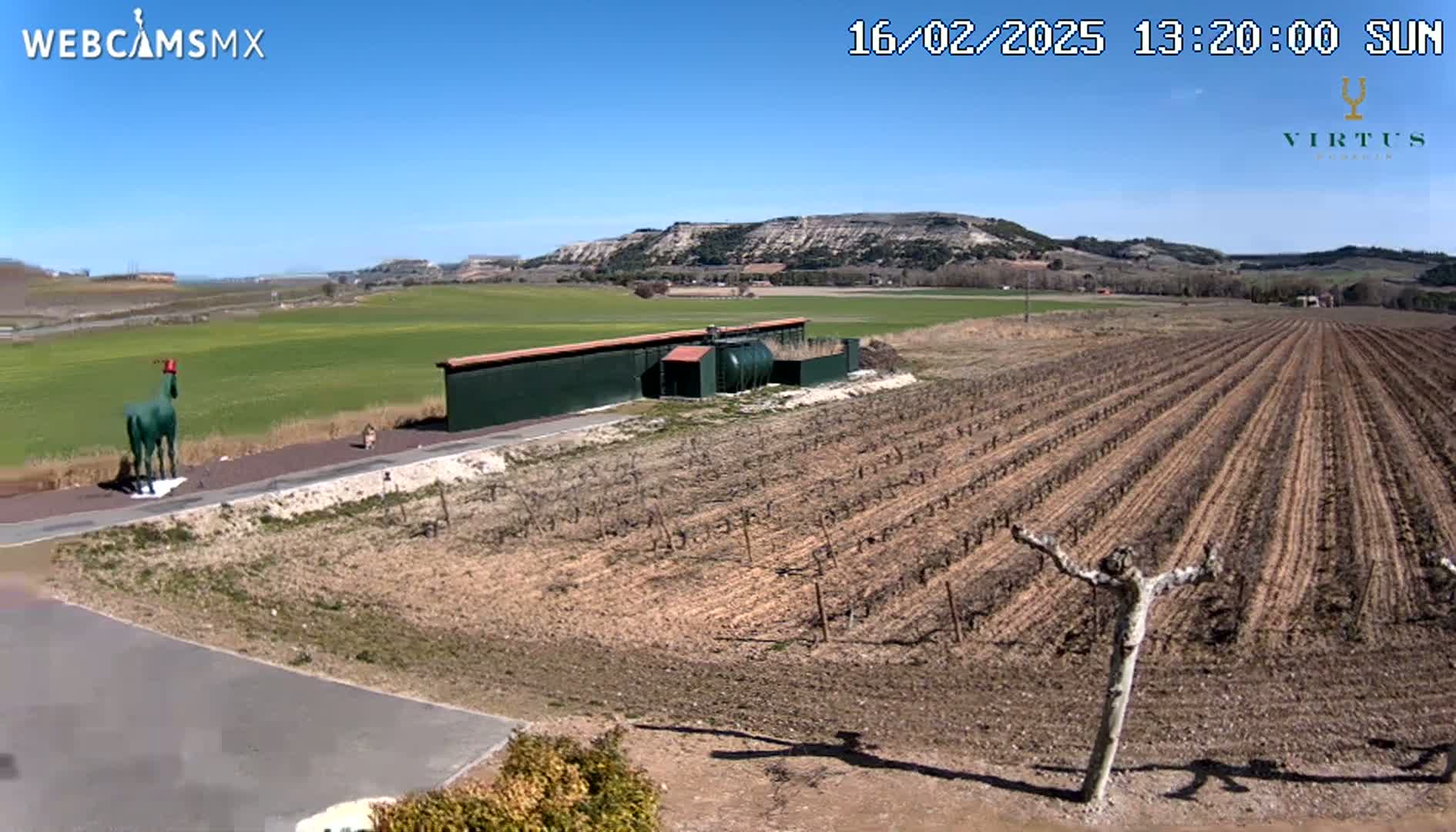 A green statue of a horse stands near a vineyard under a clear blue sky.