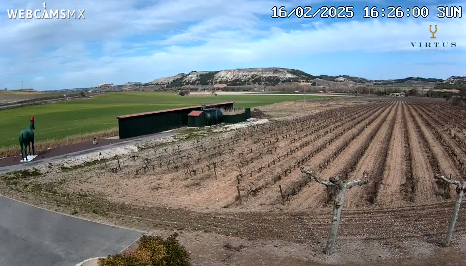 A sunny day reveals a vineyard with bare vines, a dark green building, and a large green statue of a horse wearing a red hat, all set against a backdrop of rolling hills.