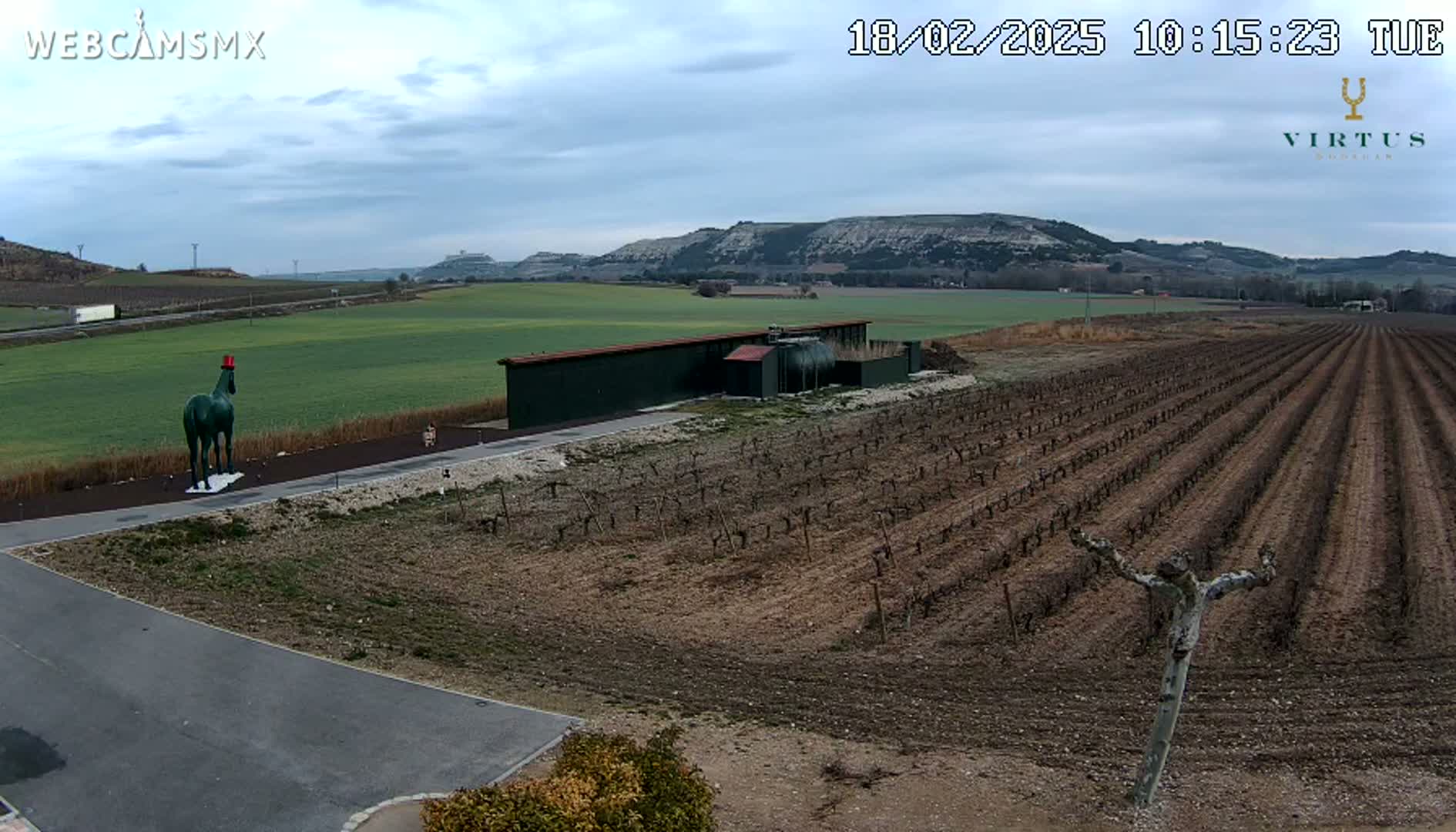 A green statue of a horse wearing a red hat stands near a vineyard and a long building under a cloudy sky.