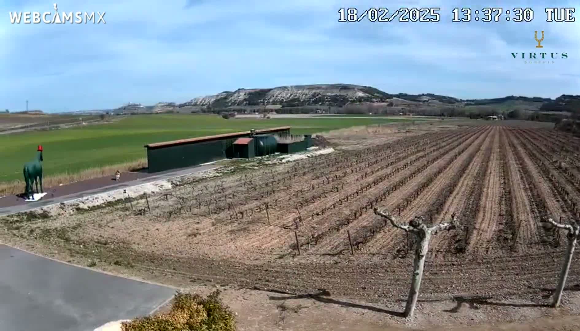 A green statue of a horse stands near a vineyard under a clear blue sky.